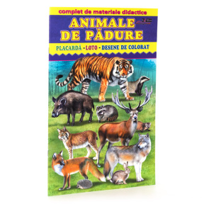 Complet de materiale didactice. Animale de pădure