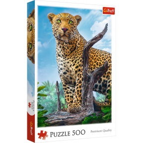 Leopard în Savana, 500 elemente