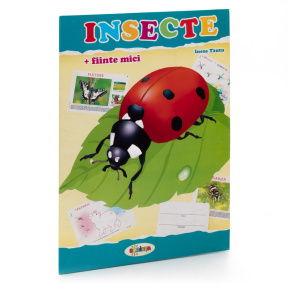 Mapa. Insecte