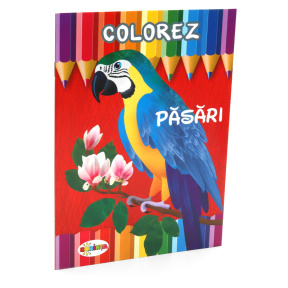 Colorez. Păsări