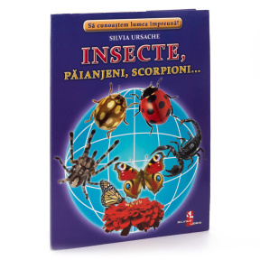 Fișe " Insecte, păianjeni, scorpioni "