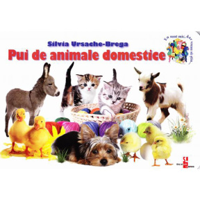 Cunosc lumea. Pui de animale domestice