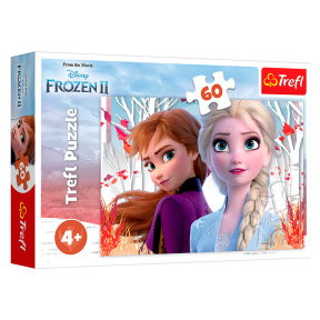 Ana și Elsa - Frozen 2, 60 elemente