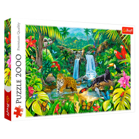 Padure tropicală, 2000 elemente