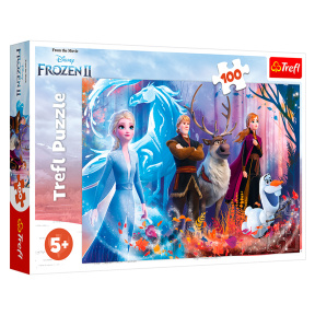 Магия ледяной земли, 100 элементов