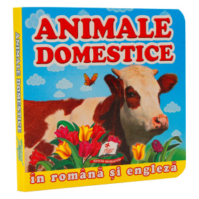 Primele noțiuni. Animale domestice