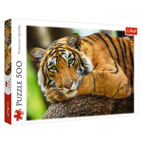 Portretul unui tigru, 500 elemente