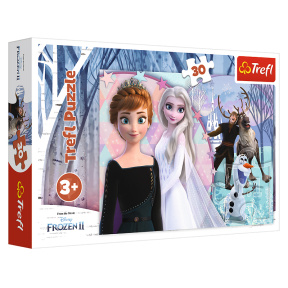 Frozen-Magie, 30 elemente