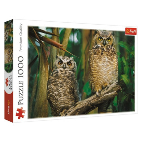Совы, 1000 элементов