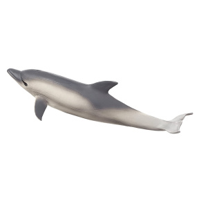 Delfin