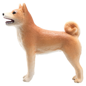 Câine Shiba Inu