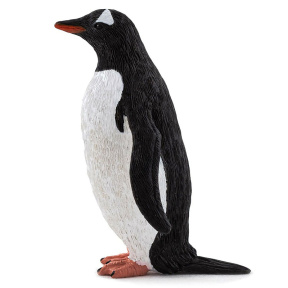 Pinguin Gentoo