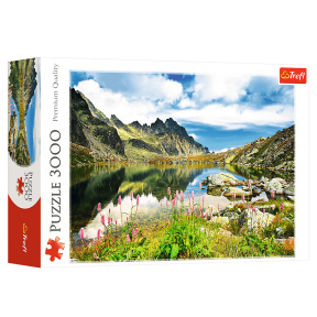 Iazul Staroleśniański, Tatra, Slovacia, 3000 elemente