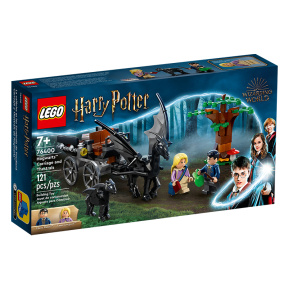 Constructor LEGO  Harry Potter Trăsura Hogwarts și Thestrals