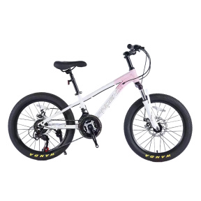 Bicicletă 20" Phoenix, alb-roz