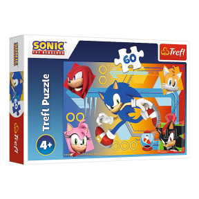 Puzzle "60" - Sonic in action / SEGA Sonic The Hedgehog