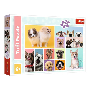 Puzzle "160" - Dog friendship