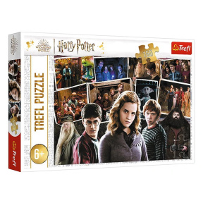 Puzzle "160" - Harry Potter and friends / Warner Harry Potter