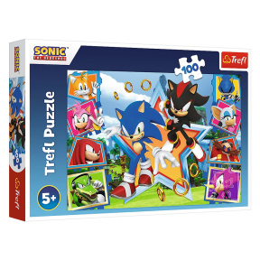 Puzzle "100" - "Meet Sonic / SEGA Sonic The Headgehog"