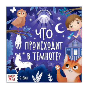 Книга с фонариком «Что происходит в темноте?», 24 стр.