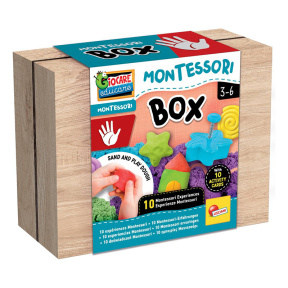 Set dezvoltare Montessori Touch