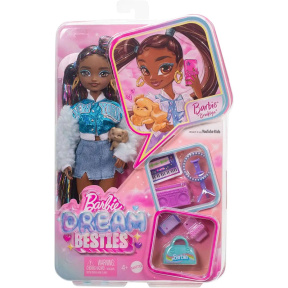 Păpușă Barbie «Brooklyn» cu accesorii