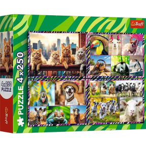 Puzzle "4x250” Animale vesele