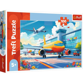 Puzzle "100” King of the skies