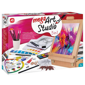 Set de pictură 5 în 1