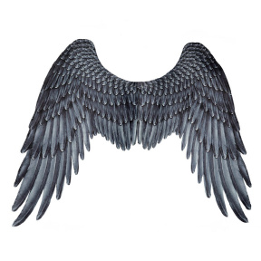 Aripi de Arhanghel negre (95 x 75 cm)