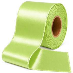 Panglica din satin WP (5,0/22m) - 52 Salată