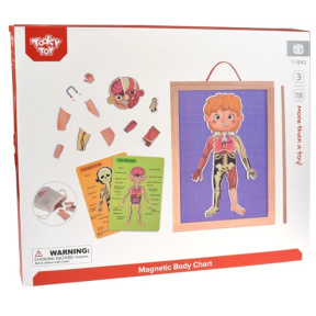 Развивающая игра «Строение тела» на магнитах