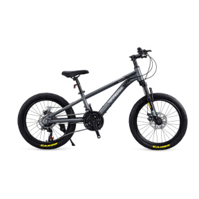 Bicicletă pentru copii cu două roți, 22 inch, gri-negru