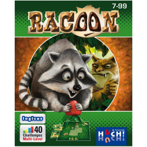 Racoon