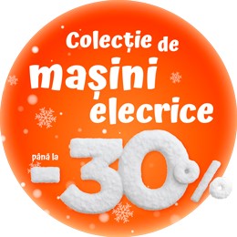 Reduceri de Craciun Masini Electrice
