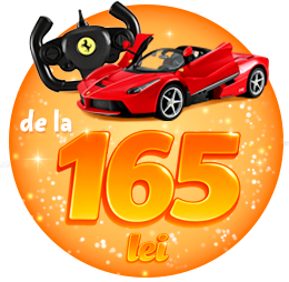 Maşini cu telecomandă